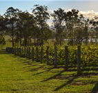 H Boutique Hotel - Pokolbin - VIC Tourism
