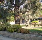 Hamilton Hume Motor Inn - Yass - VIC Tourism