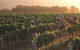 Hunter Valley Resort - Pokolbin - thumb 7