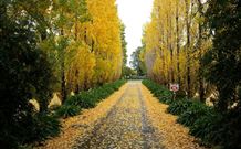 Melview Greens Apartments - Orange - VIC Tourism 5