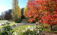 Melview Greens Apartments - Orange - thumb 7
