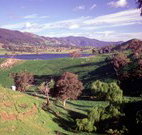 Motel Royal Tara - Binalong - VIC Tourism