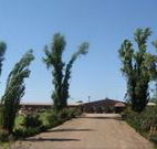 Newell Motor Inn - Narrandera - VIC Tourism