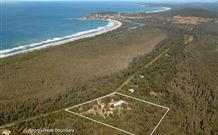 Surfaris Surf Camp - Crescent Head - VIC Tourism 1