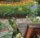 The Carrington Inn - VIC Tourism