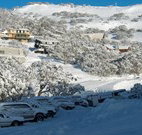 The Lions Lair Lodge