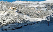 The Lions Lair Lodge - VIC Tourism 0