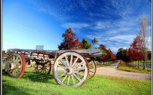 Mossy Point NSW VIC Tourism
