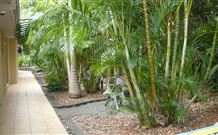Tiarri Terrigal - Terrigal - VIC Tourism 2