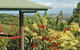 Alstonville Country Cottages - thumb 0