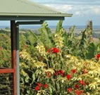Alstonville Country Cottages