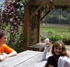 Back Forest Retreat - VIC Tourism