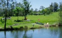 Bellingen Farmstay - VIC Tourism 0