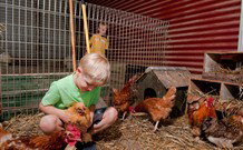 Bilpin NSW VIC Tourism