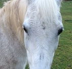 Eaglewood B and B and Farmstay - VIC Tourism