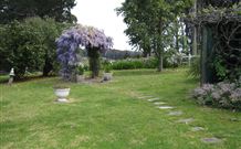 Honeycomb Valley And Cape Able - VIC Tourism 7