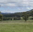 Ingleden Park Bed And Breakfast Farmstay Cottages - VIC Tourism