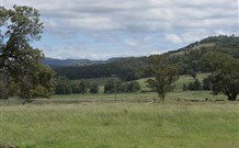 Ingleden Park Bed And Breakfast Farmstay Cottages - VIC Tourism 0