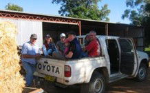 Mesopotamia Lodge Deer Park Accommodation - VIC Tourism 4