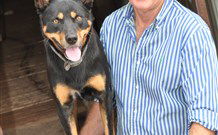 Mesopotamia Lodge Deer Park Accommodation - VIC Tourism 5