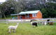 Moorallie Cottage Farm Stay - thumb 0