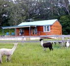 Moorallie Cottage Farm Stay - VIC Tourism
