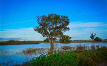 Morvern Valley Farm Stay Cottages - VIC Tourism 4