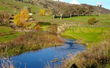 Ralda's Cottage - VIC Tourism 0