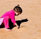 Stony Creek Farm B and B - VIC Tourism