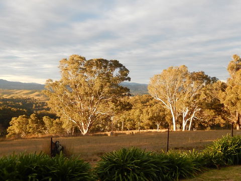 Bumblebrook Farm Motel - VIC Tourism 1