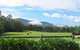 The Wattle Lodge - thumb 4