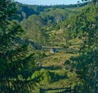 Yarralong BnB and Farm Stay - VIC Tourism