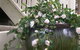 Amore Boutique Bed And Breakfast - thumb 2