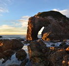 Bellbird Cottage Bed and Breakfast - VIC Tourism