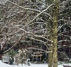 Bethany Manor Bed and Breakfast