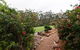 Bushview Cottage - thumb 0