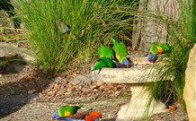Bushview Cottage - VIC Tourism 5