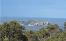 Chalet Swisse Spa Retreat - - VIC Tourism 1