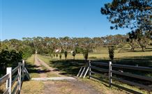 Cruickshanks Armidale Bed And Breakfast - VIC Tourism 1