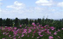 Cruickshanks Armidale Bed And Breakfast - VIC Tourism 4