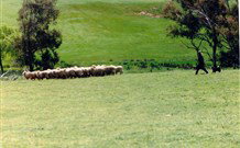 Hall ACT VIC Tourism