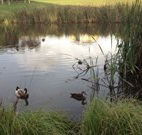 Harewood House Bed and Breakfast