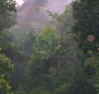 Havans Ecotourist Retreat - - VIC Tourism