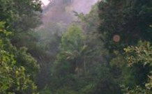 Havans Ecotourist Retreat - - VIC Tourism 0