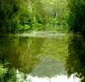 Mangrove Yoga Ashram - - VIC Tourism