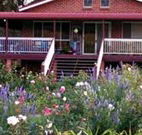 Rose Patch Bed and Breakfast - VIC Tourism