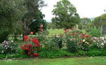 Russellee Bed And Breakfast - VIC Tourism 2