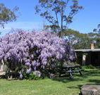 Studio Cottages Romantic Hideaway - VIC Tourism