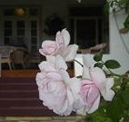 White House Heritage Guesthouse - VIC Tourism