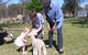 Yarralong BnB And Farm Stay - thumb 0